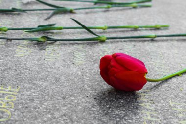 POLTAVA, UKRAINE 9 Mayıs 2021: Ölen askerlerin isimlerinin yazılı olduğu granit bir anıtın üzerinde çiçekler yatıyor