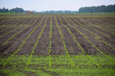 Tarımsal makinelerle tarımdan tarıma