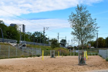 TALLINN, ESTONIA - 14 AĞUSTOS 2018 Yazın öğleden sonra köpek parkı
