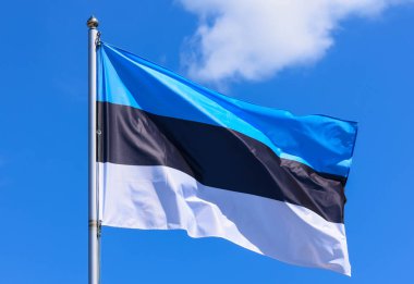 Estonya bayrağı, yaz günü mavi gökyüzünün arka planında mavi, siyah ve beyaz üç eşit yatay şeritten oluşan dikdörtgen bir bayrak.