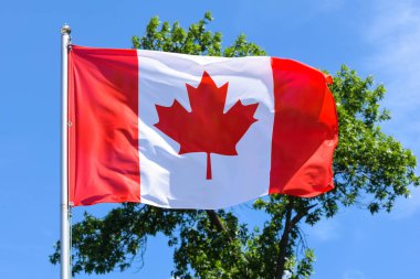 Kanada bayrağı iki renkte, üç dikey şeritten oluşur: kırmızı-beyaz-kırmızı, beyaz şeritli kırmızı-akçaağaç yaprağı yaz öğleden sonra mavi gökyüzünün arka planında