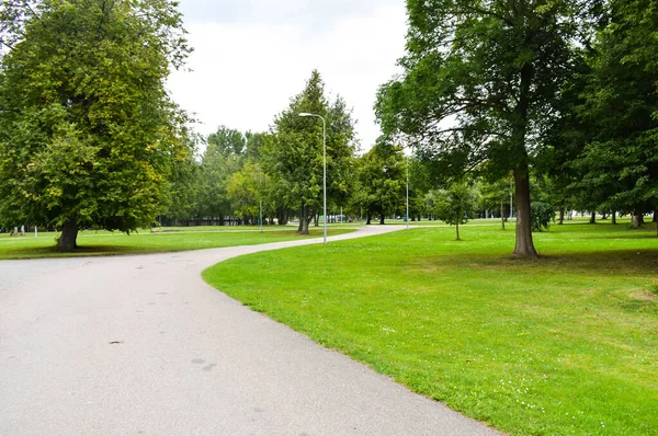 Green grass and trees in the park in summer afternoon