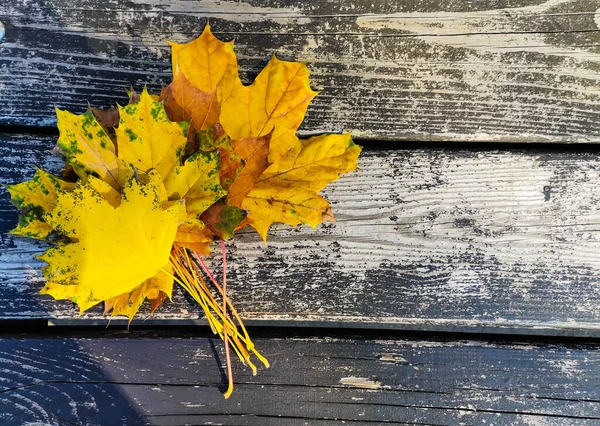 Herbstblätter Von Gelber Farbe Liegen Nachmittag Herbst Auf Einem Hölzernen — Stockfoto