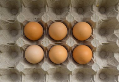 Kahverengi yumurtalar karton yumurta tepsisinde.
