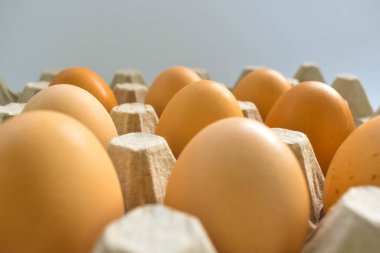 Kahverengi yumurtalar karton yumurta tepsisinde.