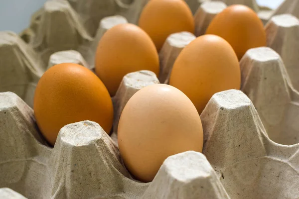 Brown eggs are in a cardboard egg tray
