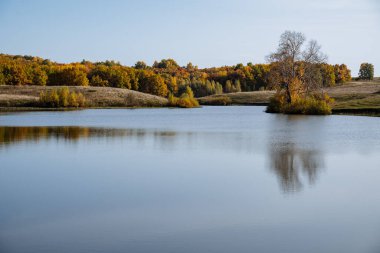 Gölün yumuşak su yüzeyi, üzerinde tek bir dalgalanma olmadan, sonbahar ormanının yanında uzanır, gölün yanında sessiz ve huzurlu yürüyüşler, hoş güneş ışığı. Yüksek kalite fotoğraf