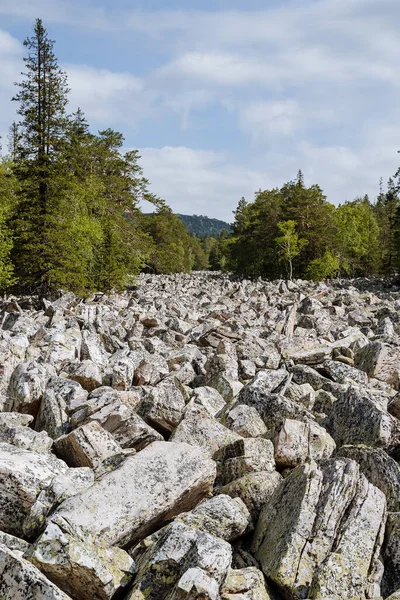 Panorámás Volt Egy Folyó Taganay Nemzeti Parkban Van Egy Sűrű — Stock Fotó