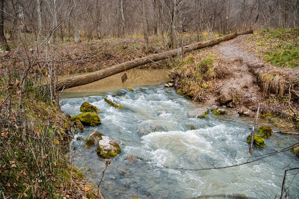 A bubbling stream of pure blue water, the bottom of the river is covered with sharp stones with green moss. Around the autumn forest, the gradual onset of cold weather. High quality photo