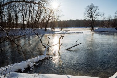 Kış gölünde buzsuz su yüzeyinin büyüleyici manzarası. Suda karla serpilmiş bir ağacın gövdesi yatıyor. Yüksek kalite fotoğraf