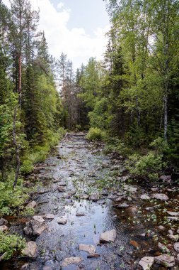 Sakin bir akıntısı ve kayalık bir kıyısı olan yeşil bir ormanın ortasında geniş bir dere. Taşların arasında ağaçlar filizlenir, gökte büyük beyaz bir bulut..