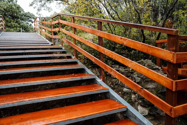Escadaria brilhante com degraus largos. Descida. Escadas no parque. Caminhe ao ar livre — Fotografia de Stock