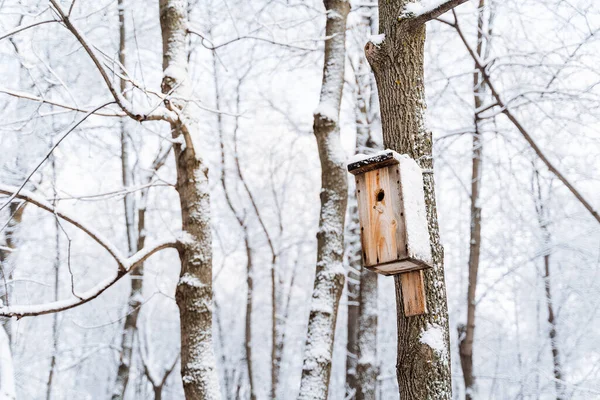 Ptačí Budka Stromě Krmítko Pro Ptáky Zimní Sídlo Zimní Les — Stock fotografie