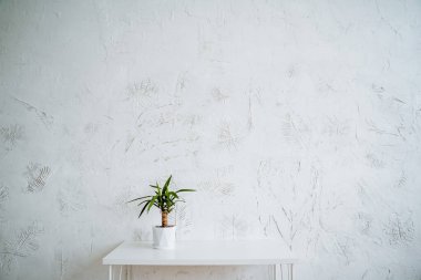 Masanın üzerinde küçük bir saksı incir var. İç kısmın minimalist ışık çerçevesi. Saksı çiçeği. Yüksek kalite fotoğraf