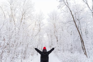 Genç bir kız yaban hayatının tadını çıkarıyor. Siyah ceketli, parlak şapkalı bir kız ormanda yürüyor. Her şey karla kaplı. Yüksek kalite fotoğraf