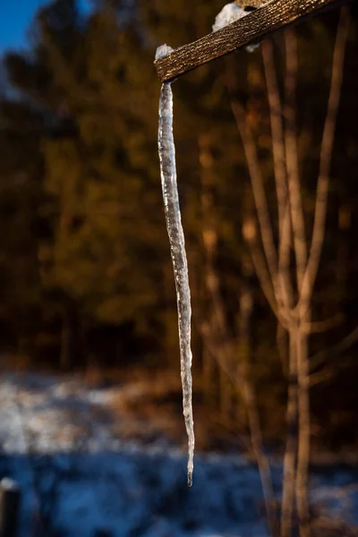 Een Dunne Ijspegel Hangt Van Het Dak Bevroren Water Winter — Stockfoto