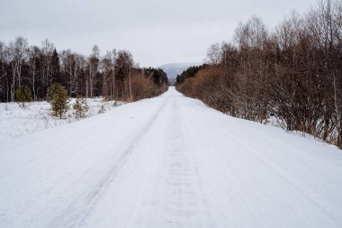 Arabasız, karla kaplı boş bir yol. Dümdüz dağlara giden bir yol. Yolun etrafında bir koruluk var. Kışın vahşi doğada bir yolculuk. Yüksek kalite fotoğraf