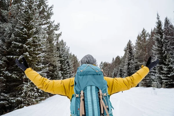 明るいバックパックを持つ楽しい旅行者は森を散策します 雪の森と岩 冬には山に登る 野生での生存 高品質の写真 — ストック写真