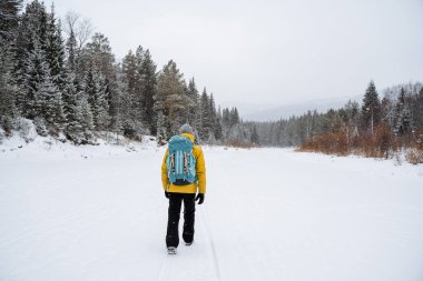 Gezginin arkasında sırt çantasıyla yürüyüş yapmak. Karlı orman ve kayalar. Kışın dağa tırmanmak. Vahşi doğada hayatta kalmak. Yüksek kalite fotoğraf