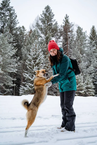 Una Joven Sonriente Feliz Está Jugando Con Perro Rojo Paseo — Foto de Stock