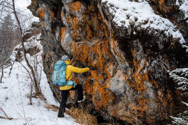 Çalı işi. Gezgin kışın dağa tırmanıyor. Karlı orman ve kayalar. Sopa, destek için baston. Vahşi doğada hayatta kalmak. Yüksek kalite fotoğraf