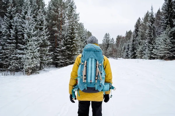 Mochila Caminhada Parte Trás Viajante Floresta Nevada Rochas Subindo Montanha — Fotografia de Stock