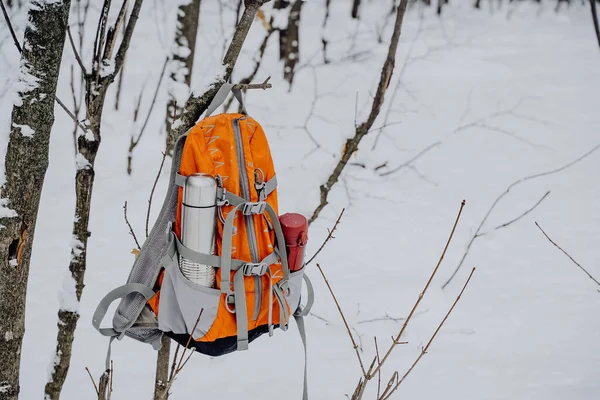 Backpack Hangs Tree Winter Forest Backpack Forgotten Someone Thermos Sticks — 스톡 사진