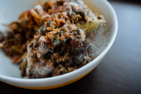 Mold close-up. Spoiled food, rotten foods. Microorganisms sprouted on ground fruits. High quality photo
