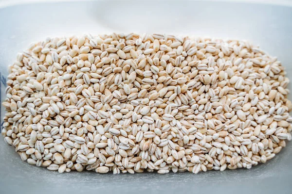 珍珠大麦顶视图 白麦片珍珠大麦粒 高质量的照片 — 图库照片