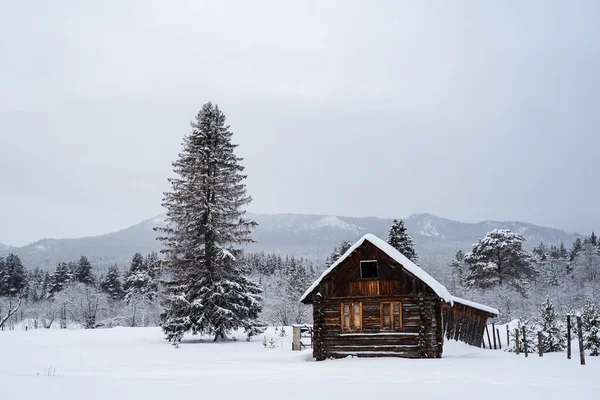 An old foresters house. Winter forest landscapes. A large tree near by. In the background of the mountain. The only house in the middle of a field. — Stock Photo, Image