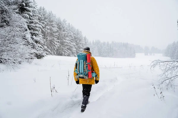 旅行者の背中にハイキングバックパック。雪の森と岩。冬には山に登る。野生での生存. — ストック写真