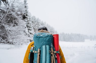 Gezginin sırtındaki sırt çantasına yakın çekim. Karlı orman ve kayalar. Kışın dağa tırmanmak. Vahşi doğada hayatta kalmak. Yüksek kalite fotoğraf
