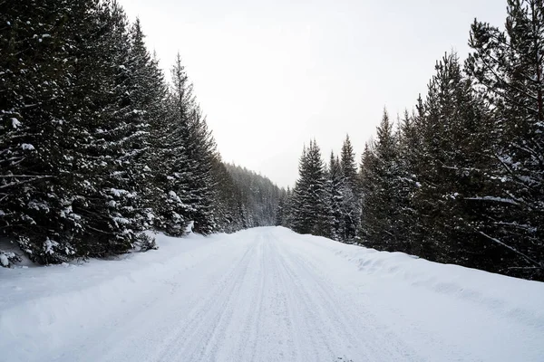 Estrada Vazia Coberta Neve Sem Carros Uma Estrada Que Atravessa — Fotografia de Stock
