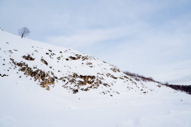 Doğanın minimalist bir görüntüsü. Dağların manzarası. Tek bir ağacı olan karla kaplı bir dağ silsilesi. Açık gökyüzü ve beyaz kar. Yüksek kalite fotoğraf