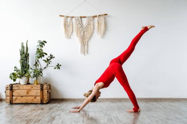 Kırmızı elbiseli bir kız yogadan aşağı bakan köpek pozu veriyor. Adho mukha shvanasana. Esneme ve İyileşme Egzersizleri. Yoga için parlak minimalist stüdyo. Yüksek kalite fotoğraf