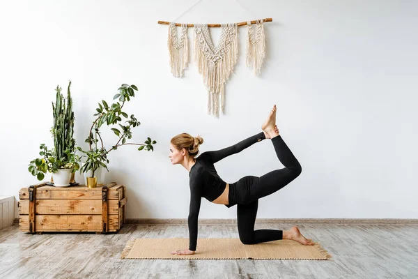 Profesyonel bir yoga eğitmeni poz verir. Parlak bir stüdyoda yoga dersleri. Huzur ve sükunet arayışı, iyi esneme ve vücut dengesi. Yüksek kalite fotoğraf