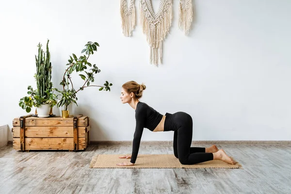 Training Home Girl Practices Asana Cat Pose Bending Spine Natural — Stock Photo, Image