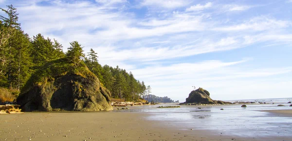 Litoral no Low Tide Second Beach Olympic National Park — Fotografia de Stock