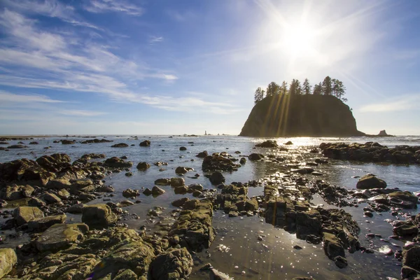 Seastack Sanctuary Low Tide Second Beach Olympic National Park — Stock Photo, Image