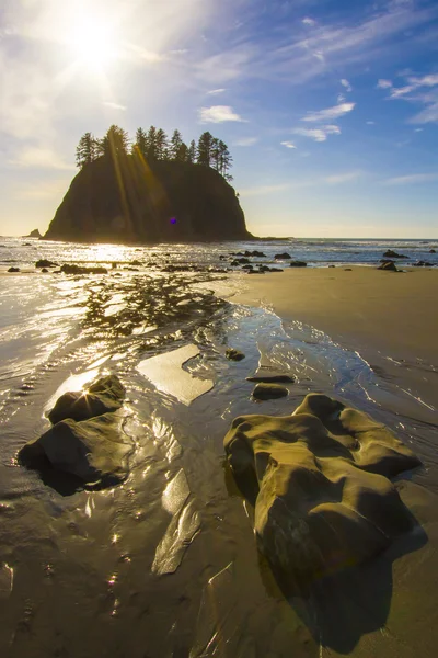 Seastack helligdom Low Tide Second Beach Olympic National Park - Stock-foto