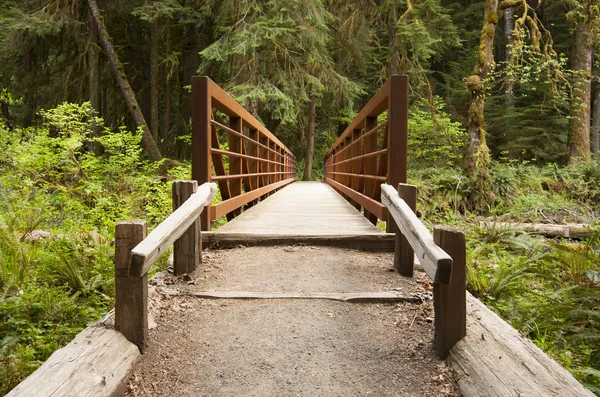 Nature Bridge near Marymere Falls, Olympic National Park — Stock Photo, Image