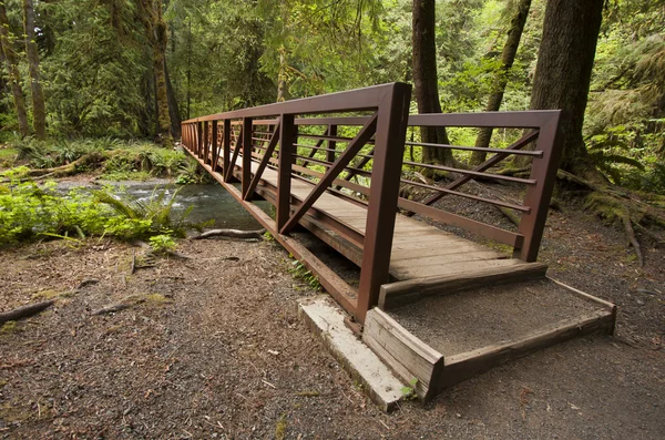Ponte da Natureza perto de Marymere Falls, Parque Nacional Olímpico — Fotografia de Stock