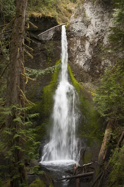 Marymere Falls, Parque Nacional Olímpico — Fotografia de Stock