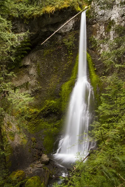 Marymere falls, olympic park narodowy — Zdjęcie stockowe