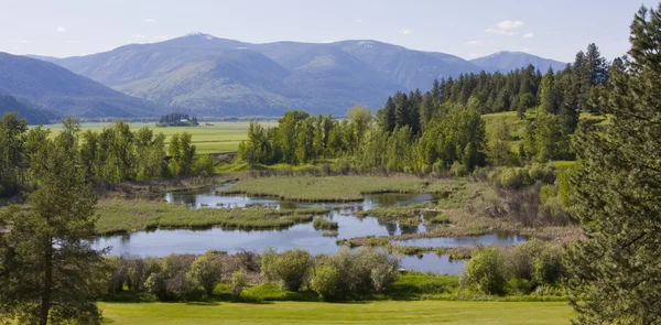 Paradise Valley Bonners Ferry North Idaho — Stock Photo, Image