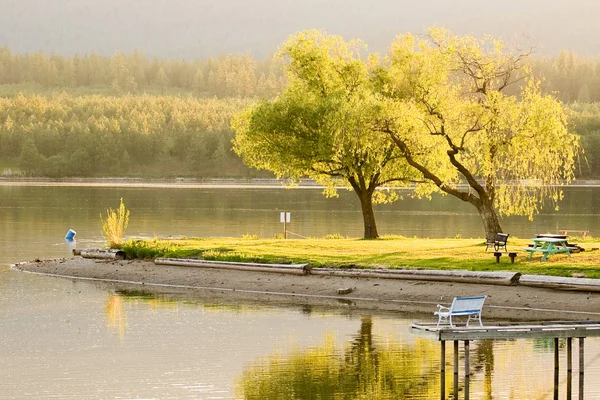 Lente tijd sereniteit gouden uur aan het meer — Stockfoto