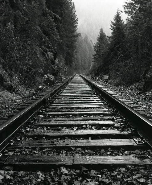 North Idaho Train Tracks — Stock Photo, Image