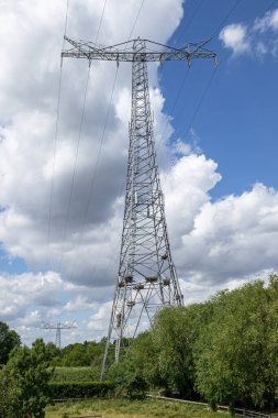 Bir grup beyaz leylek (Ciconia ciconia) yuvalarını alışılmadık bir yere kurarlar. Beyaz leylekler evlerini Hollanda 'nın Hurwenen köyündeki elektrik direğine kurdular..  