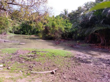 Ramang-Ramang 'ın güzel manzarası, dünyanın en büyük karst alanlarından biri, Aceh, Endonezya yakınlarındaki Sibreh' de..