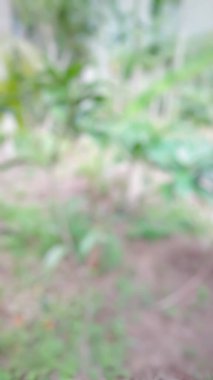 Mobil uygulama için odaklanmamış, bulanık arkaplan..